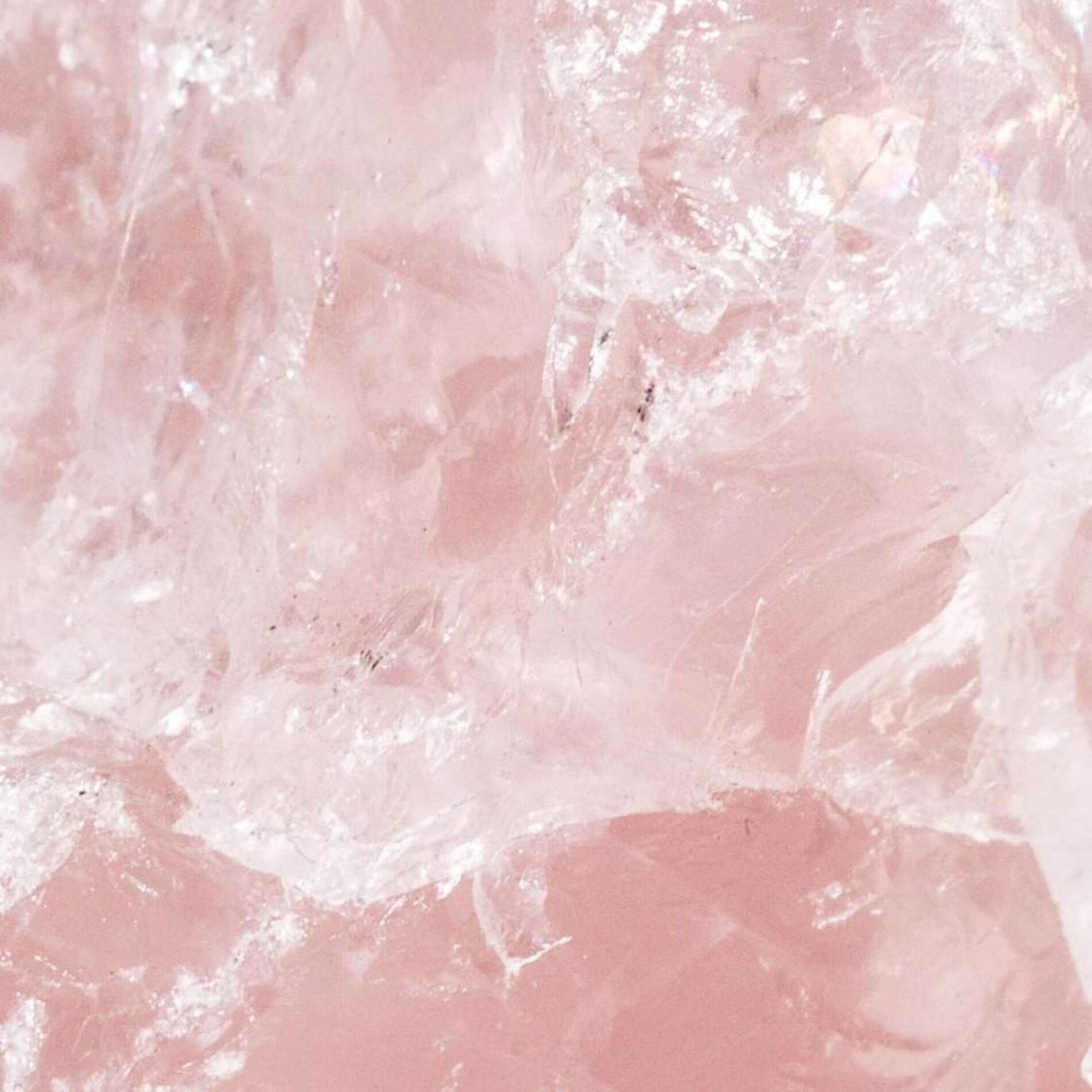 Album cover of Pink Champagne