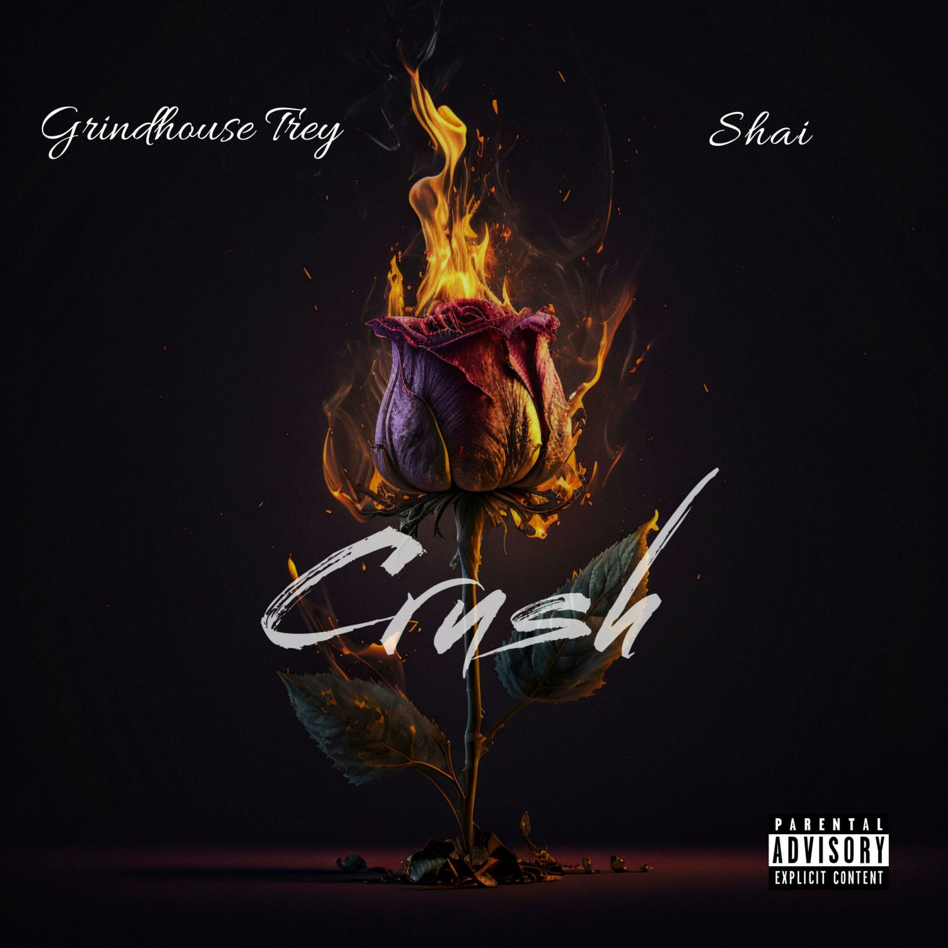 Album cover of Crush (feat. Shai)