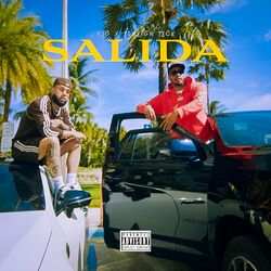 Cover of Salida
