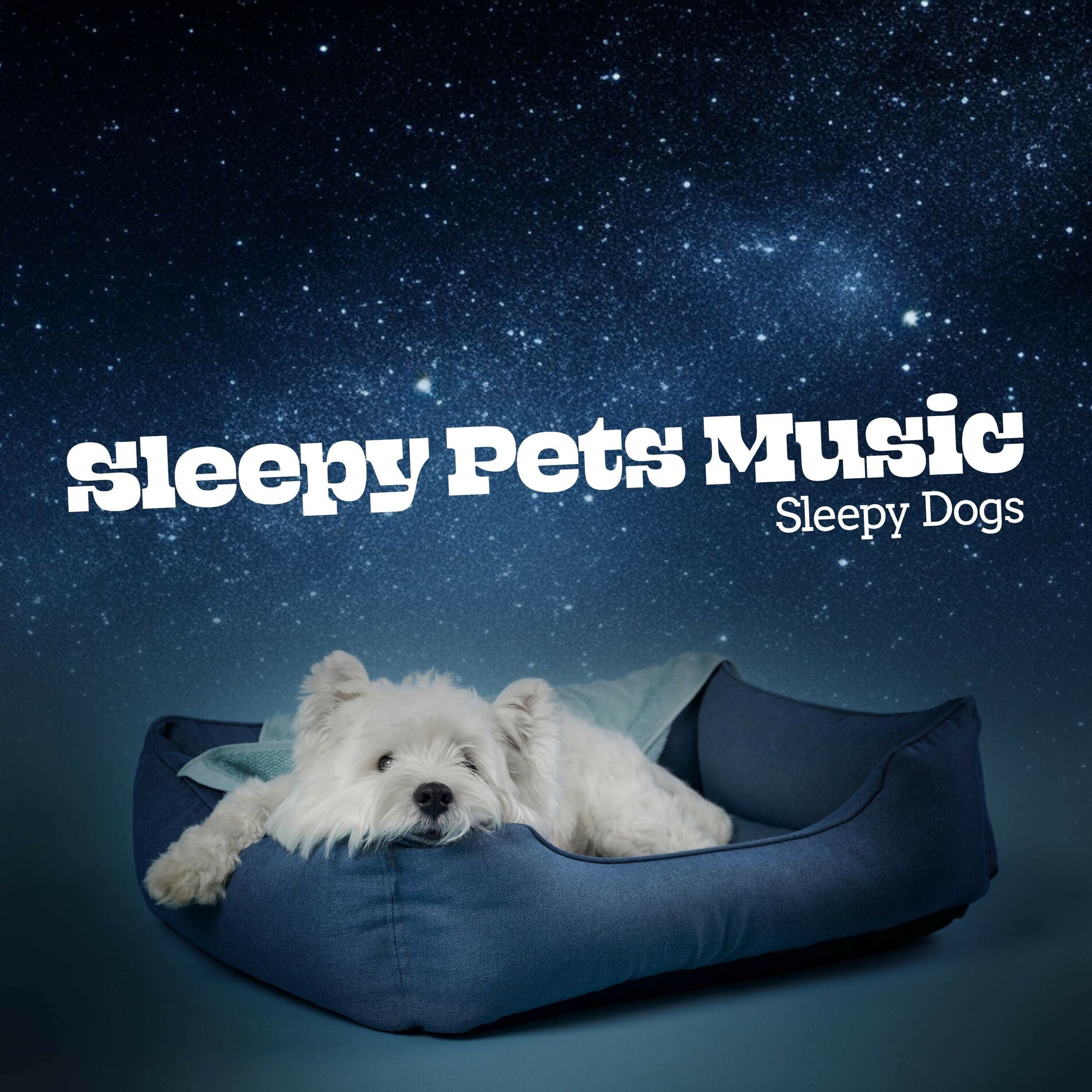Album cover of Sleepy Pets Music