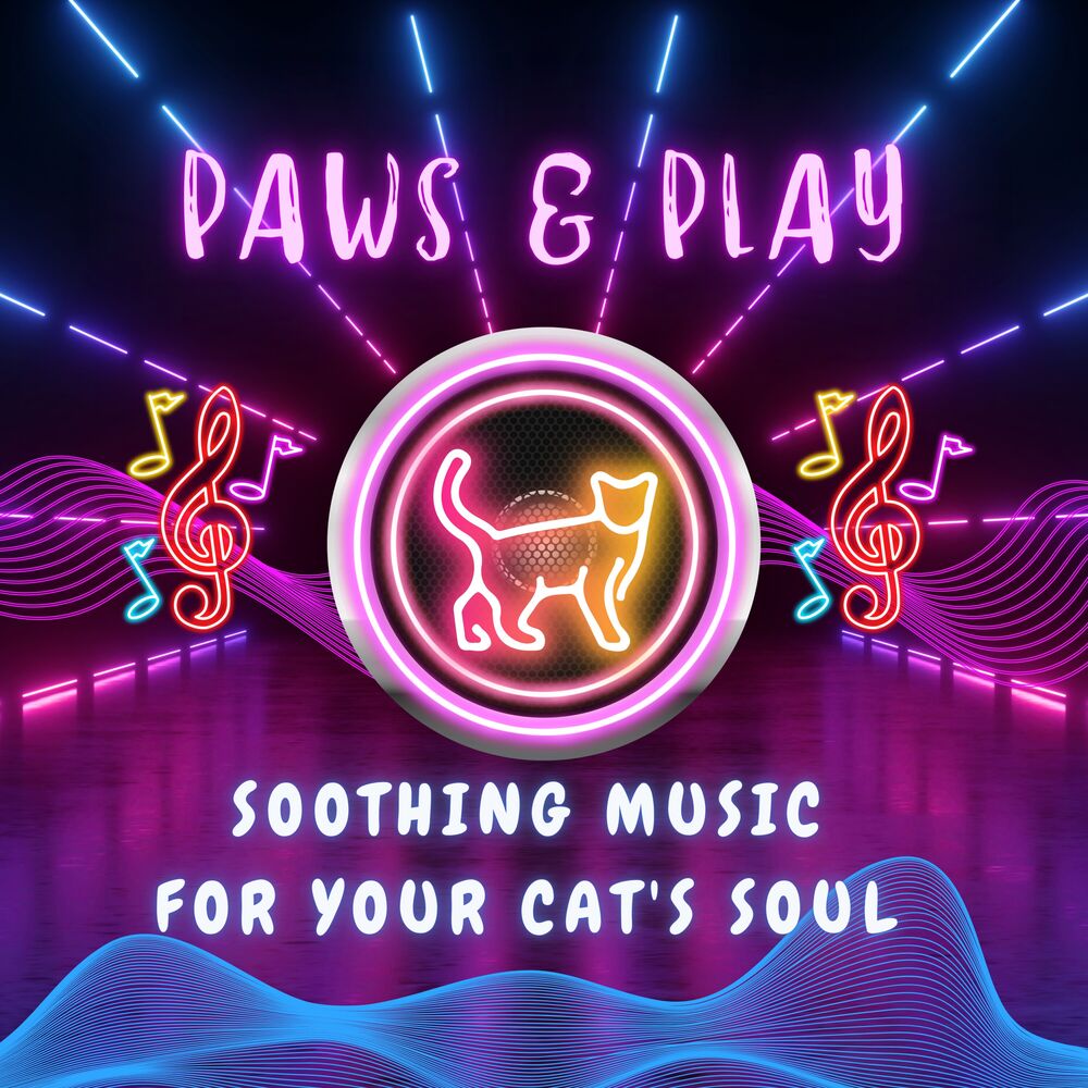 Picture of Paws & Play – Soothing Music for Your Cat's Soul