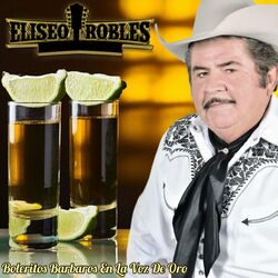 Cover of Boleritos Barbaros En La Voz De Oro