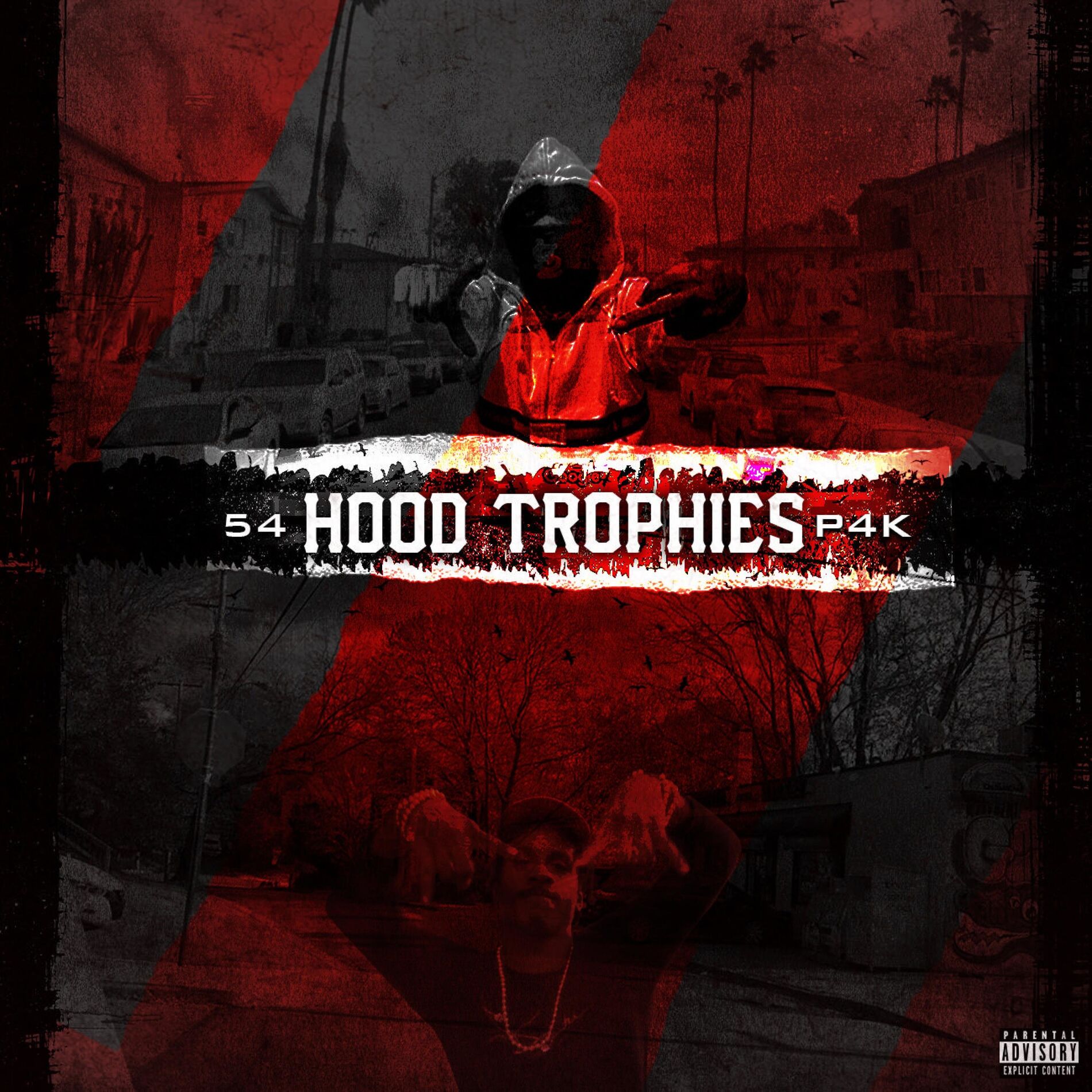 Album cover of Hood Trophies