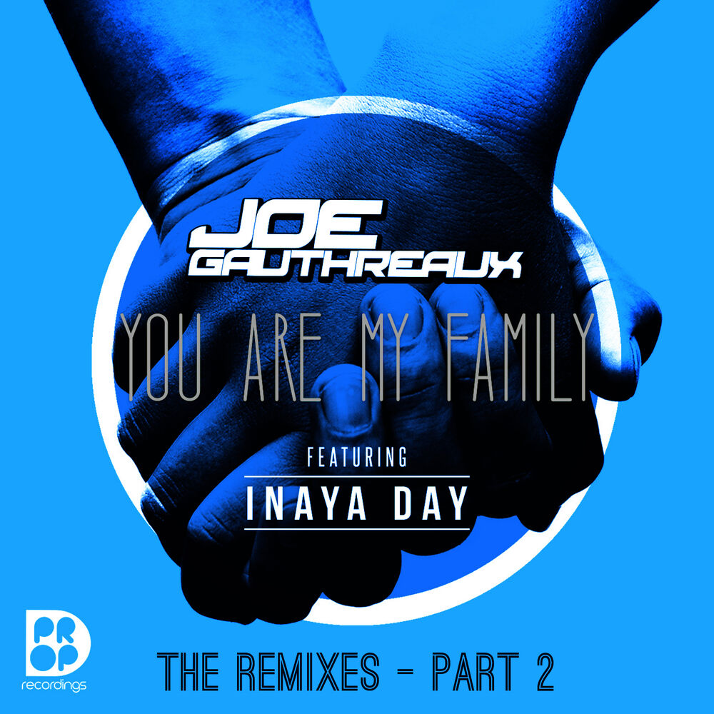 Picture of You Are My Family - The Remixes Part 2
