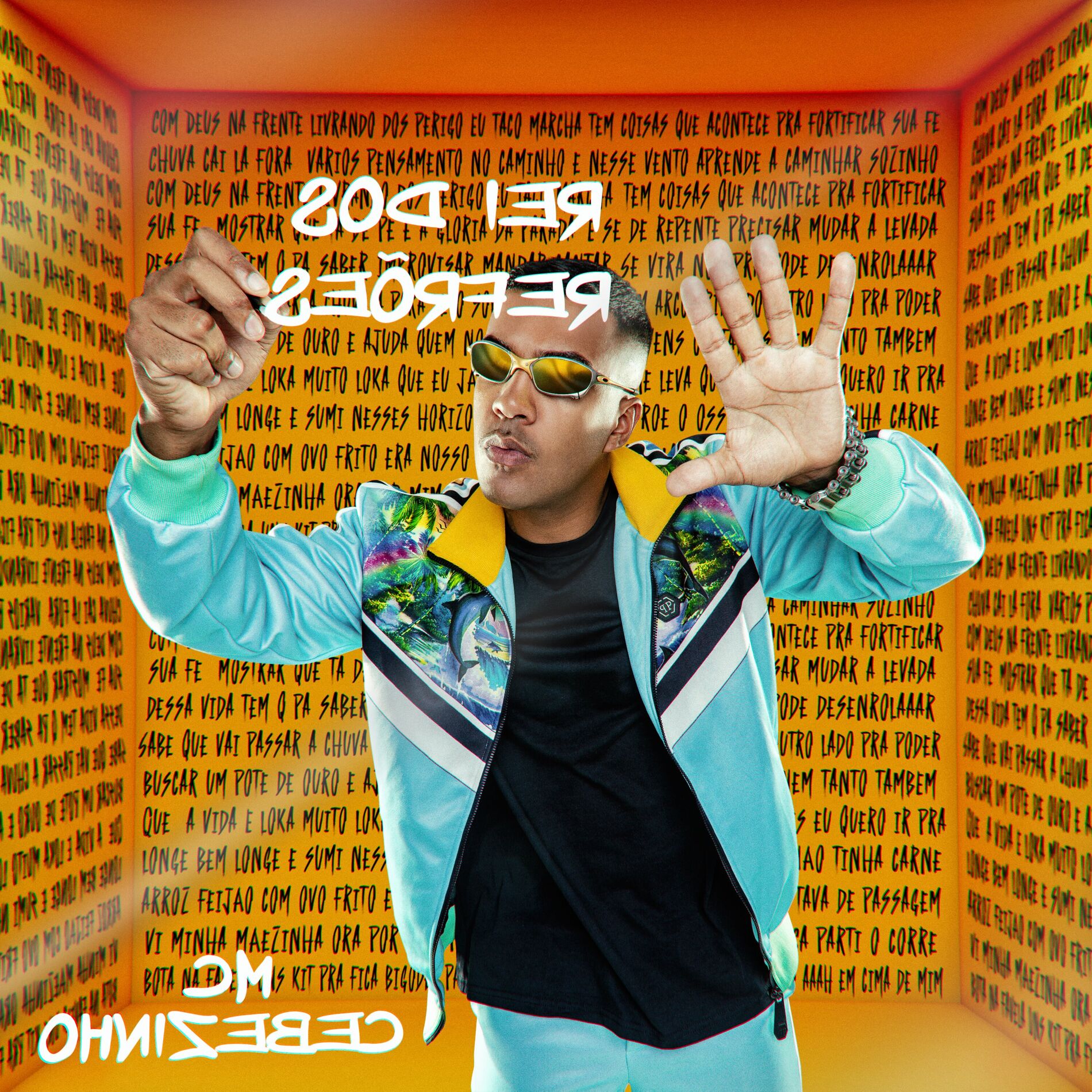 Album cover of Desistir Não Vou Jamais