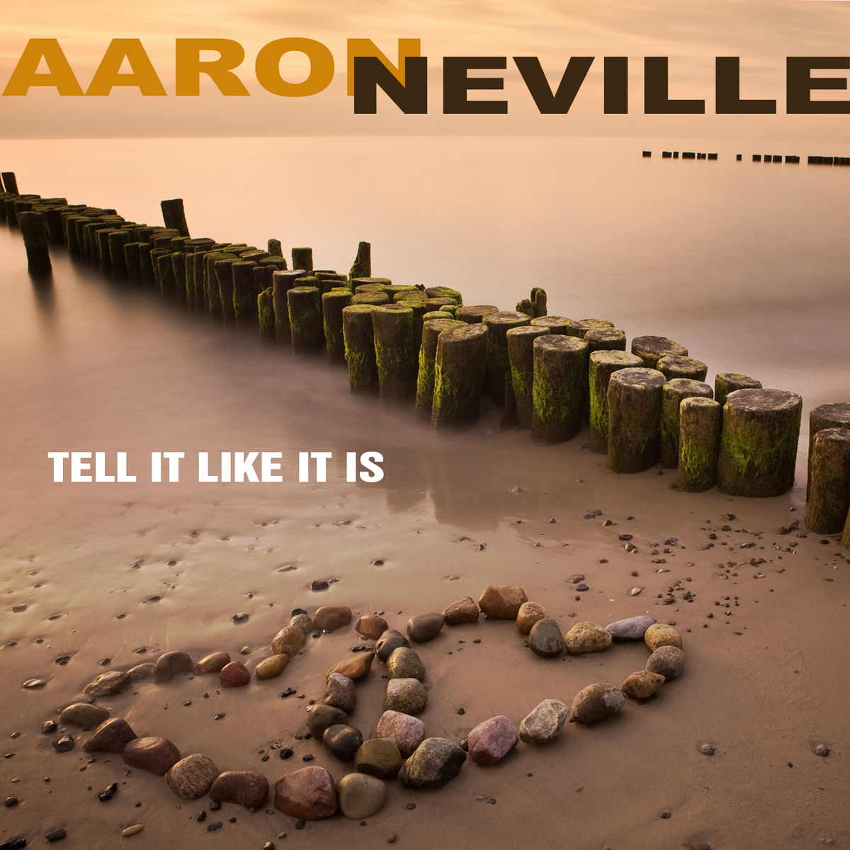 Album cover of Tell It Like It Is