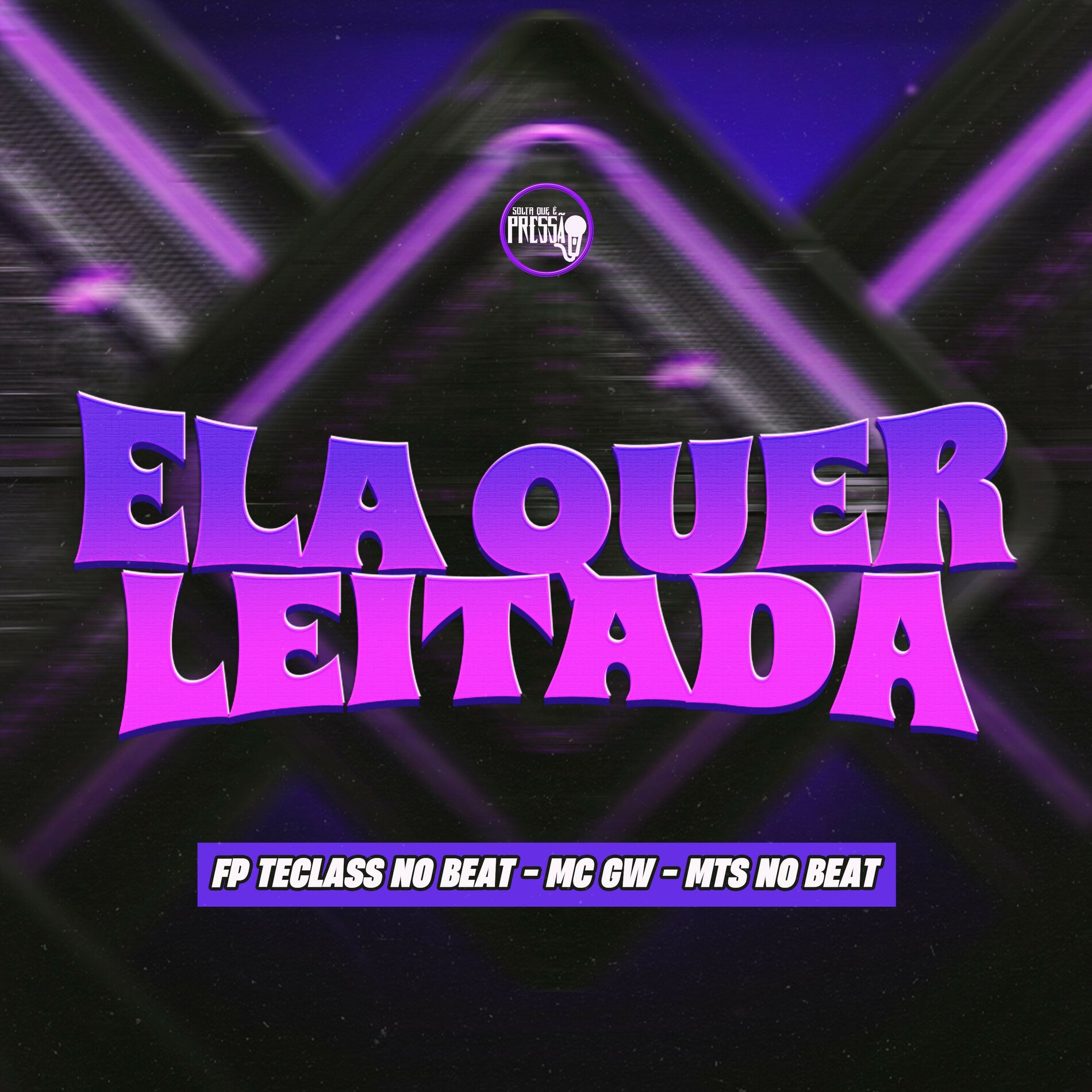 Album cover of Ela Quer Leitada