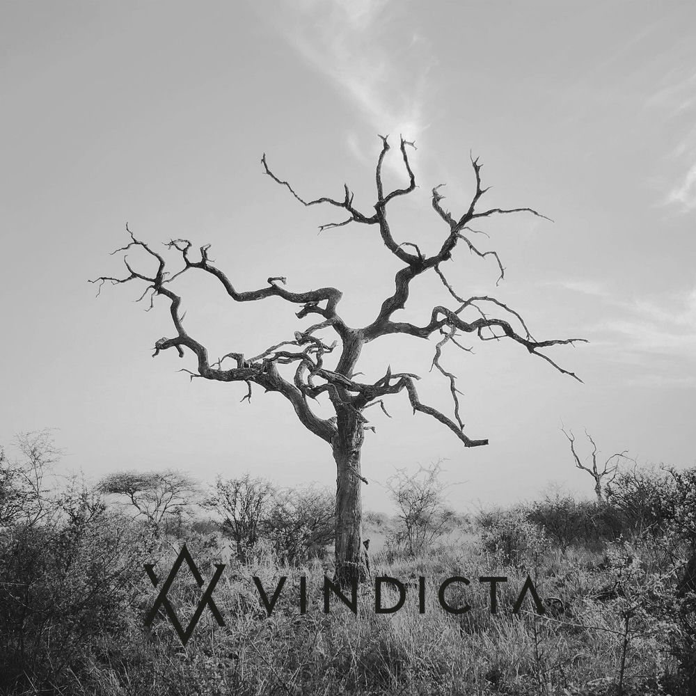 Album artwork for Vindicta by Vindicta