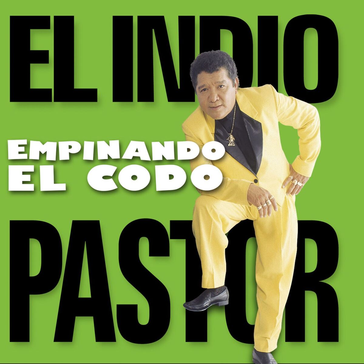 Album cover of Empinando el Codo: el Indio Pastor