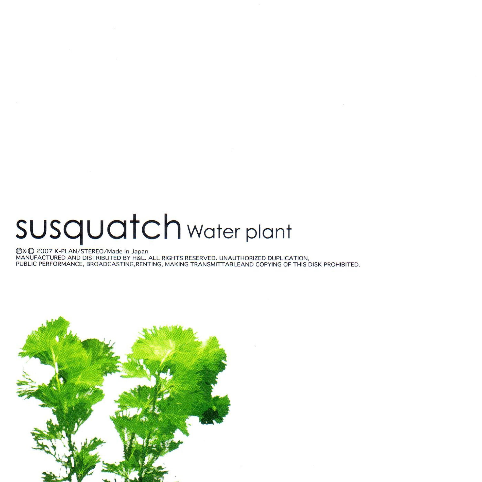 susquatch - Water plant | Deezer