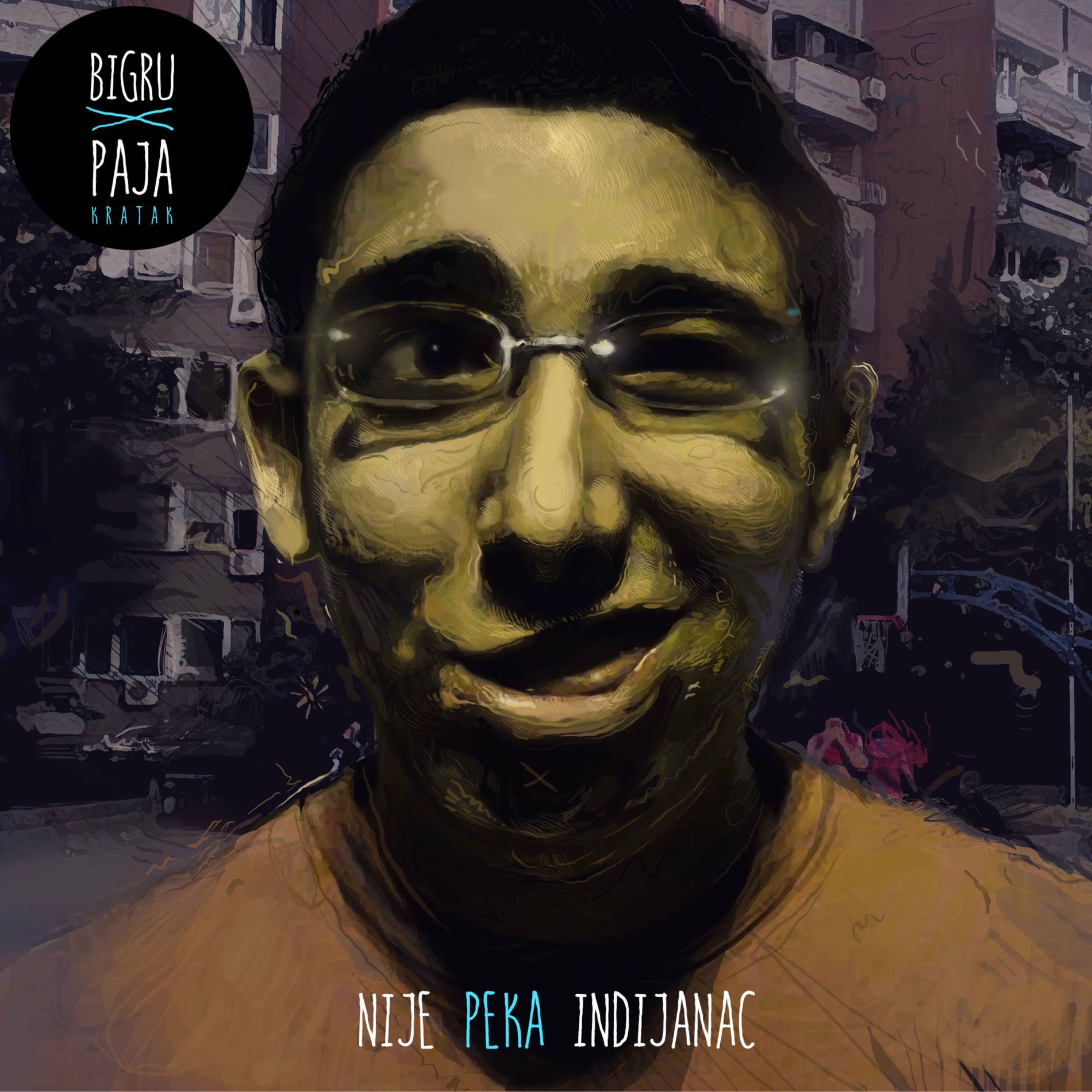Album cover of Letnje Ludilo