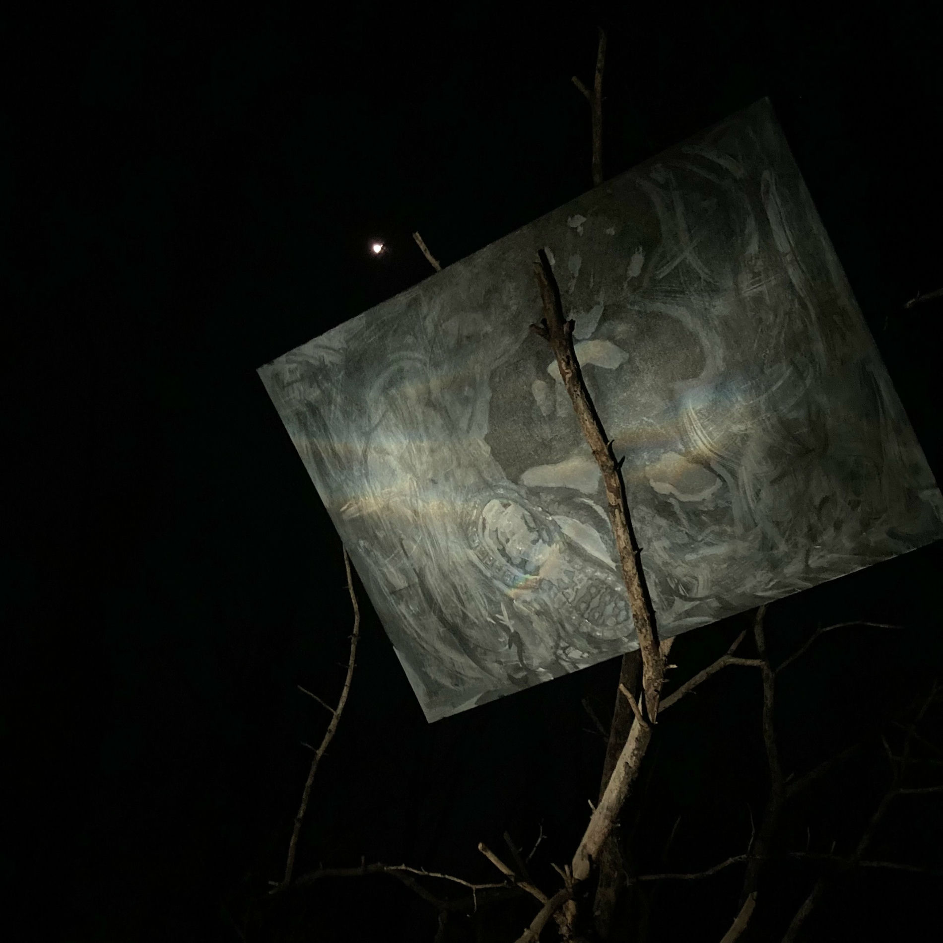 Album cover of Season 5