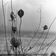 Undulate (LP Version) by Recondite album cover