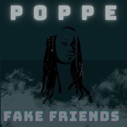 Cover of Fake Friends