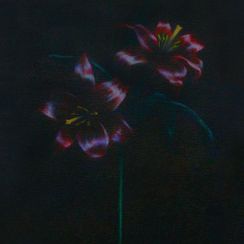 Picture of Black Lillies
