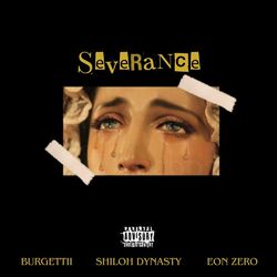 Cover of Severance