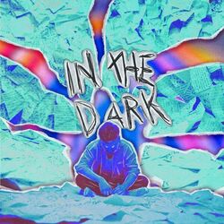 Cover of In the Dark
