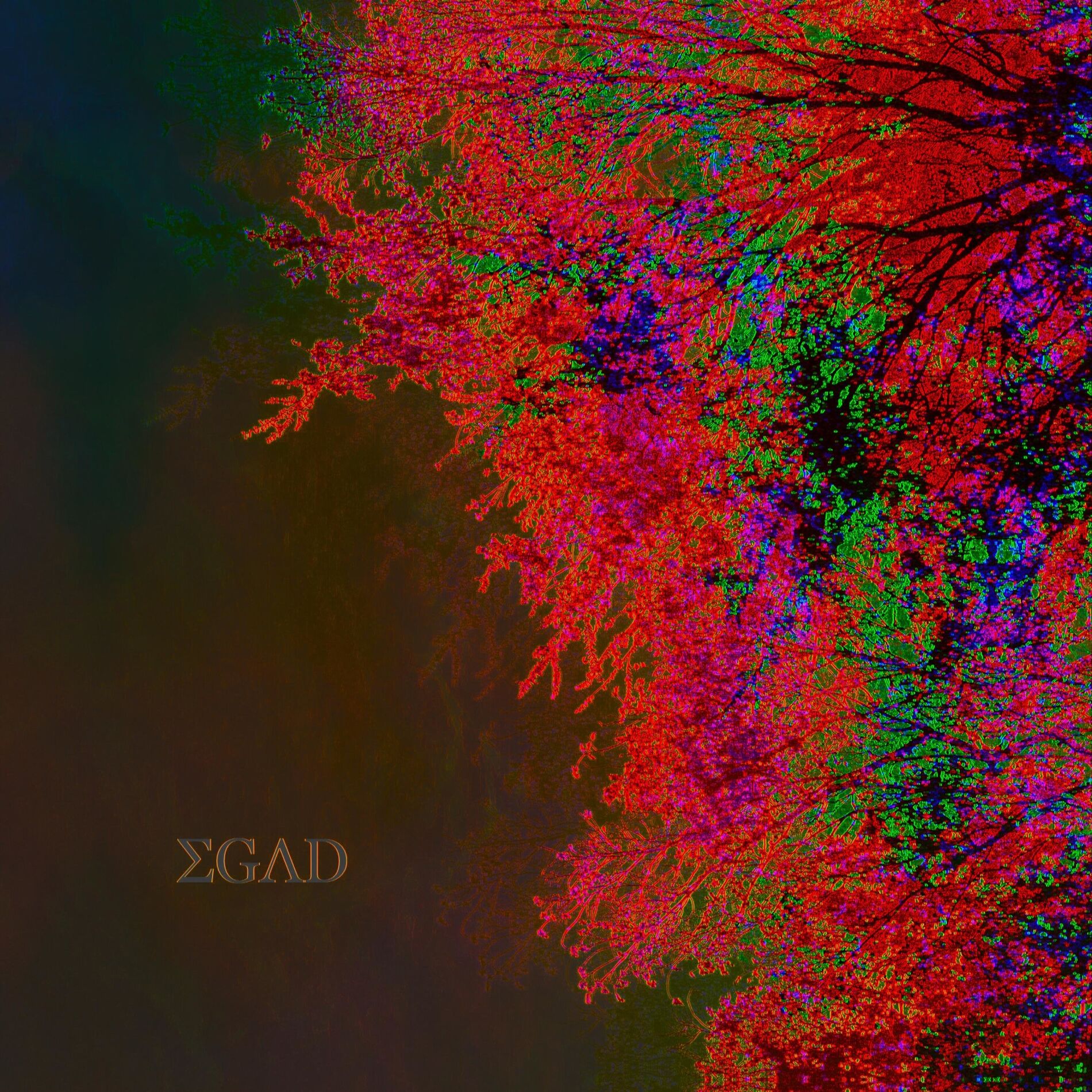 Album cover of EGAD