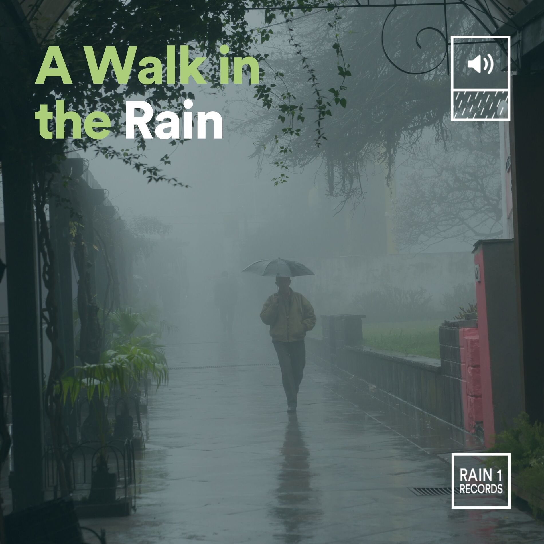 Album cover of A Walk in the Rain