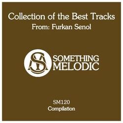 Cover of Collection of the Best Tracks From: Furkan Senol