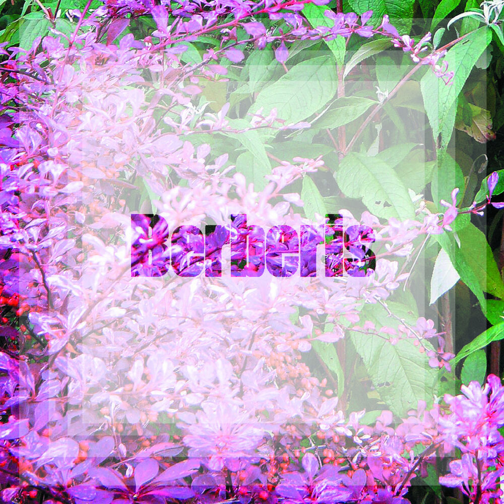 Picture of Deviant EP