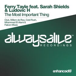 Cover of The Most Important Thing (Remixes)