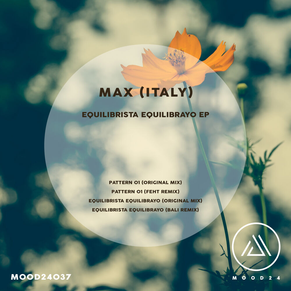 Picture of Equilibrista Equilibrato Ep