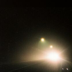 Cover of Dark Lights