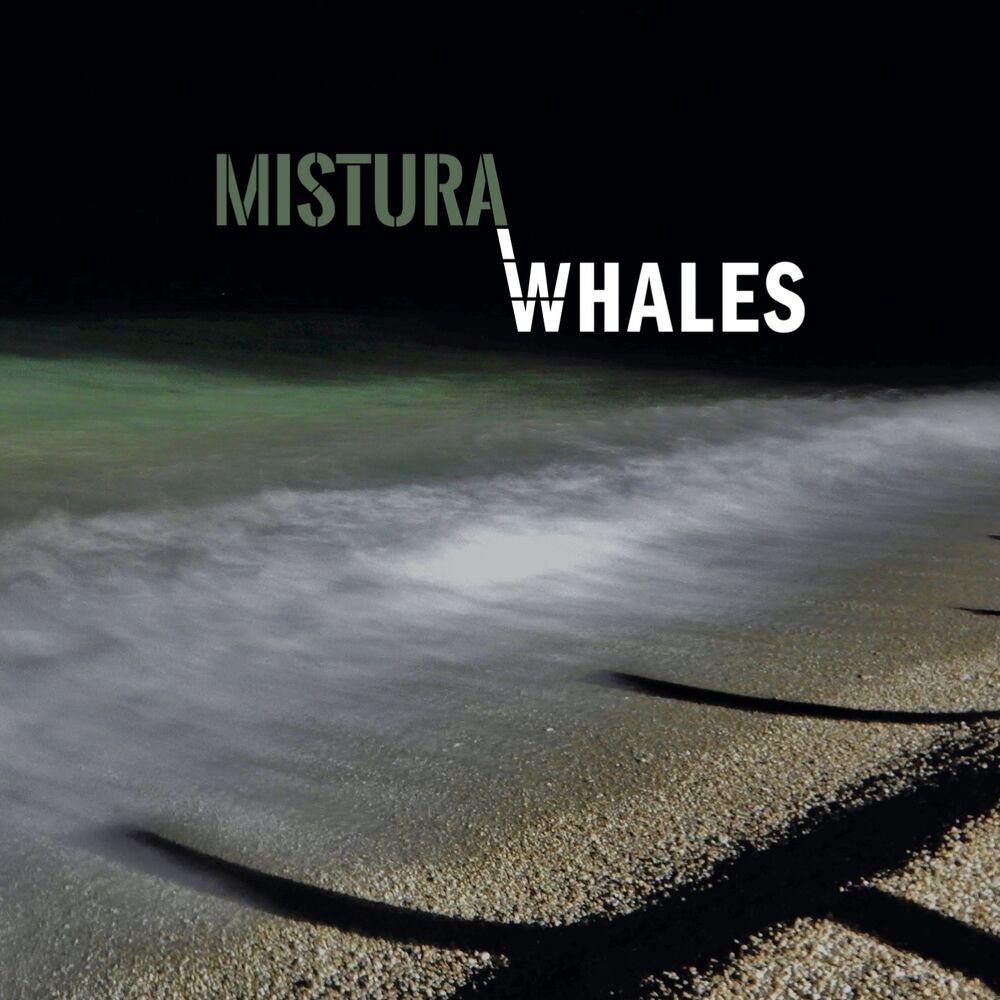 Picture of Whales