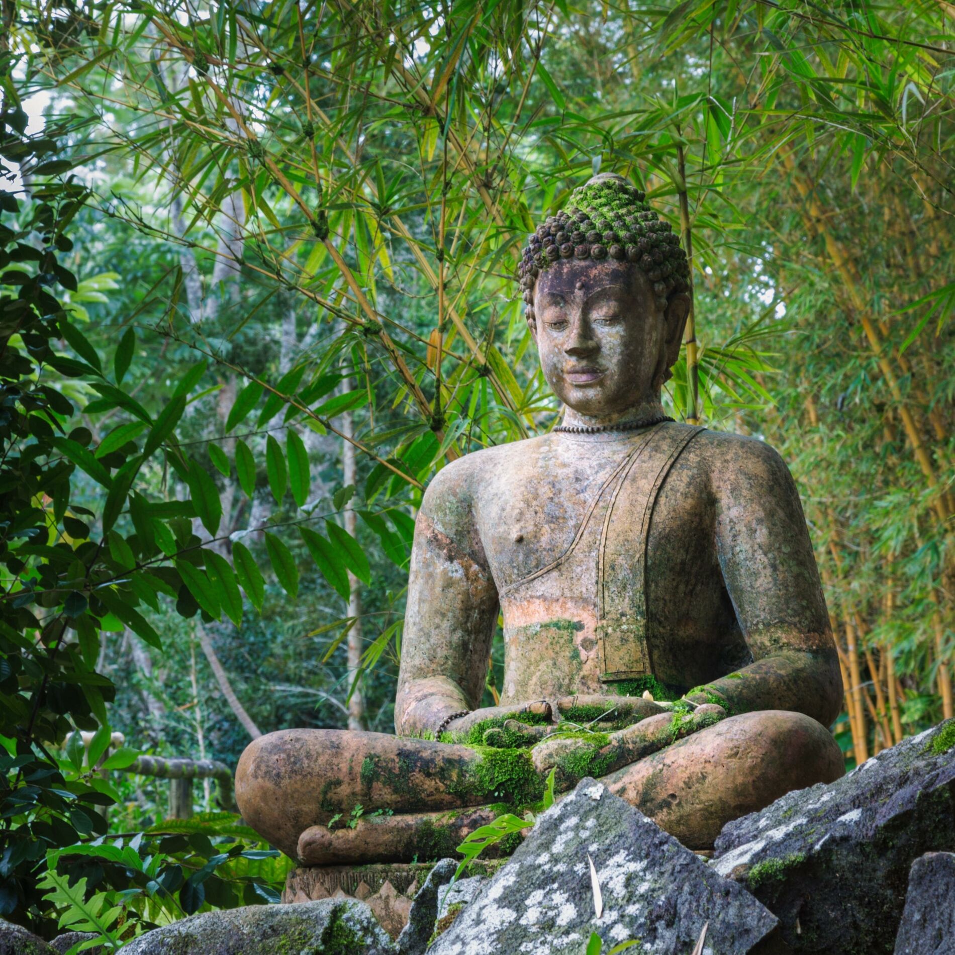 Album cover of Buddha Garden