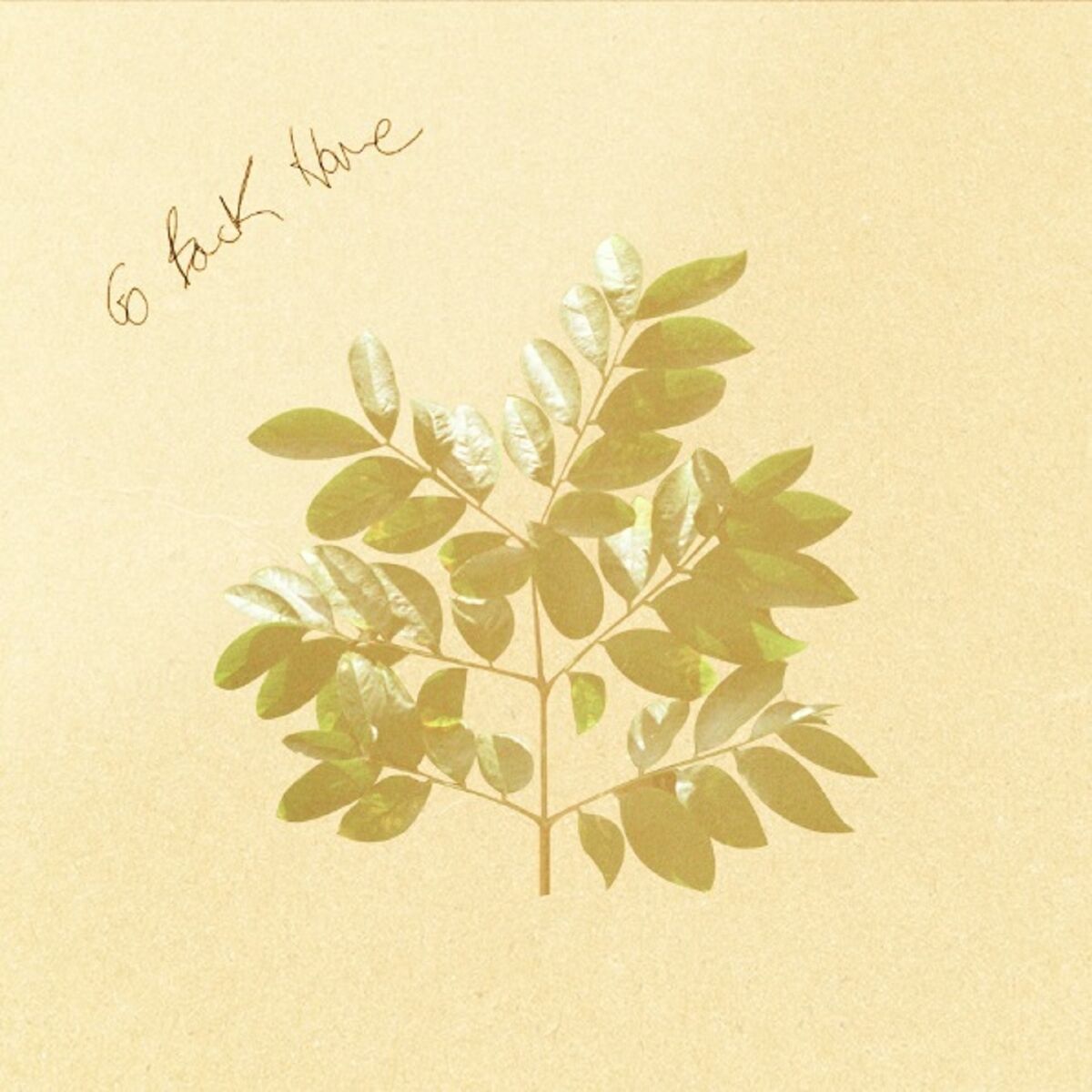 Album cover of Go Back Home
