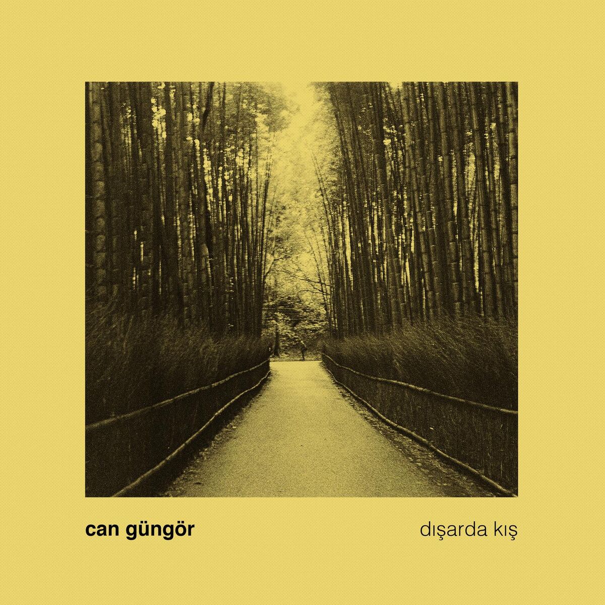 Album cover of Dışarda Kış