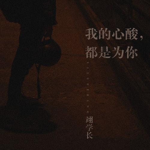 我的心酸，都是为你