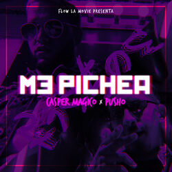 Cover of Me Pichea