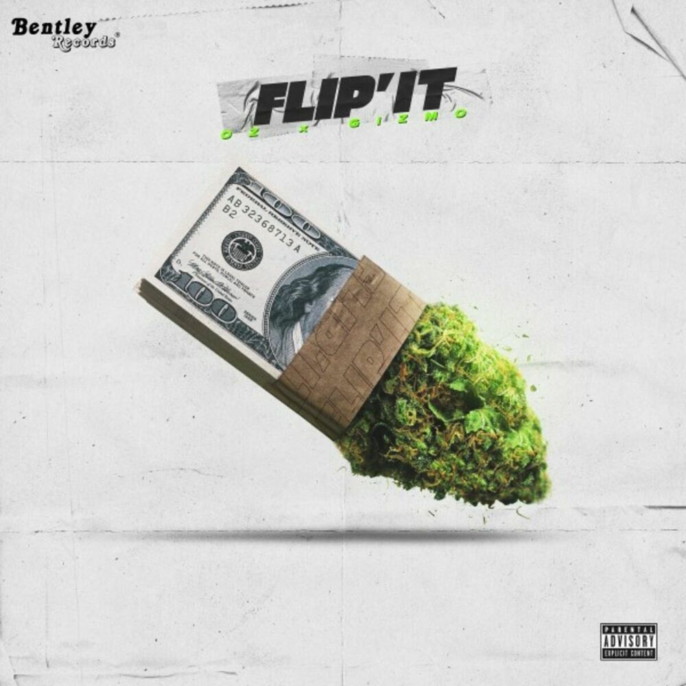 Picture of Flip It