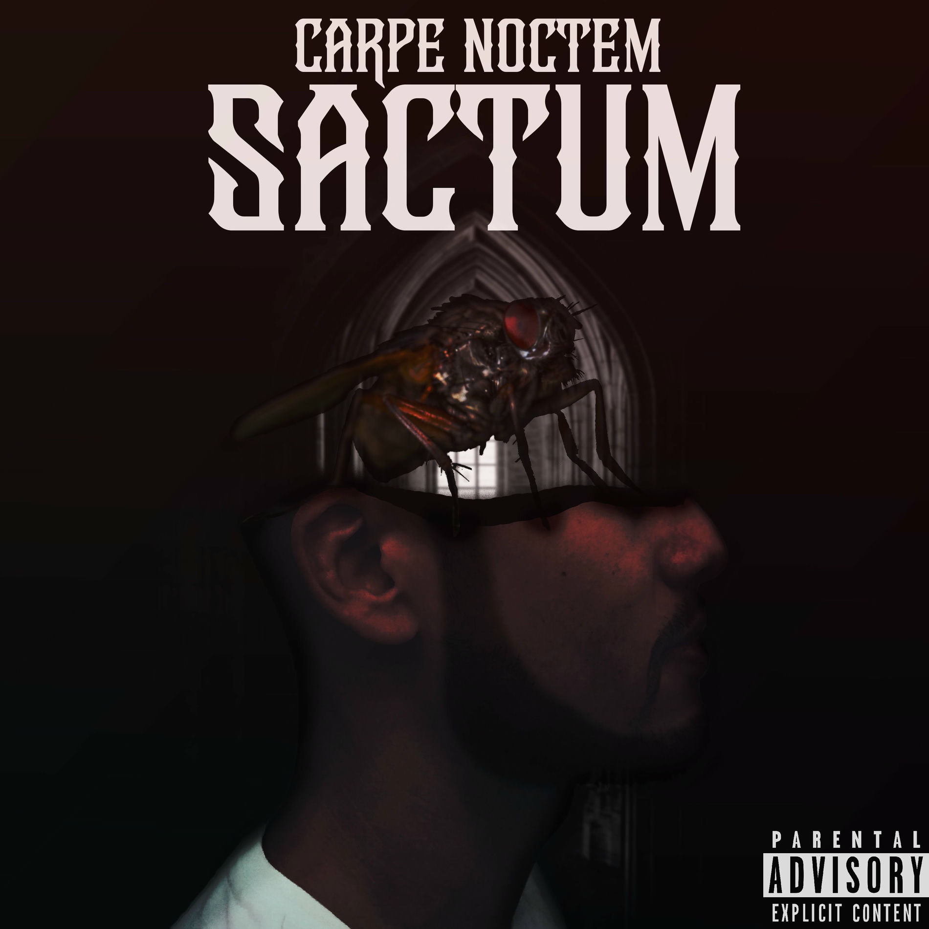 Album cover of Sactum