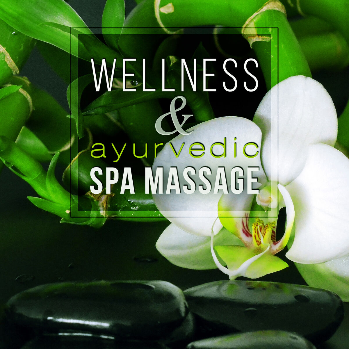 Album cover of Shiatsu Massage (Harp Music)