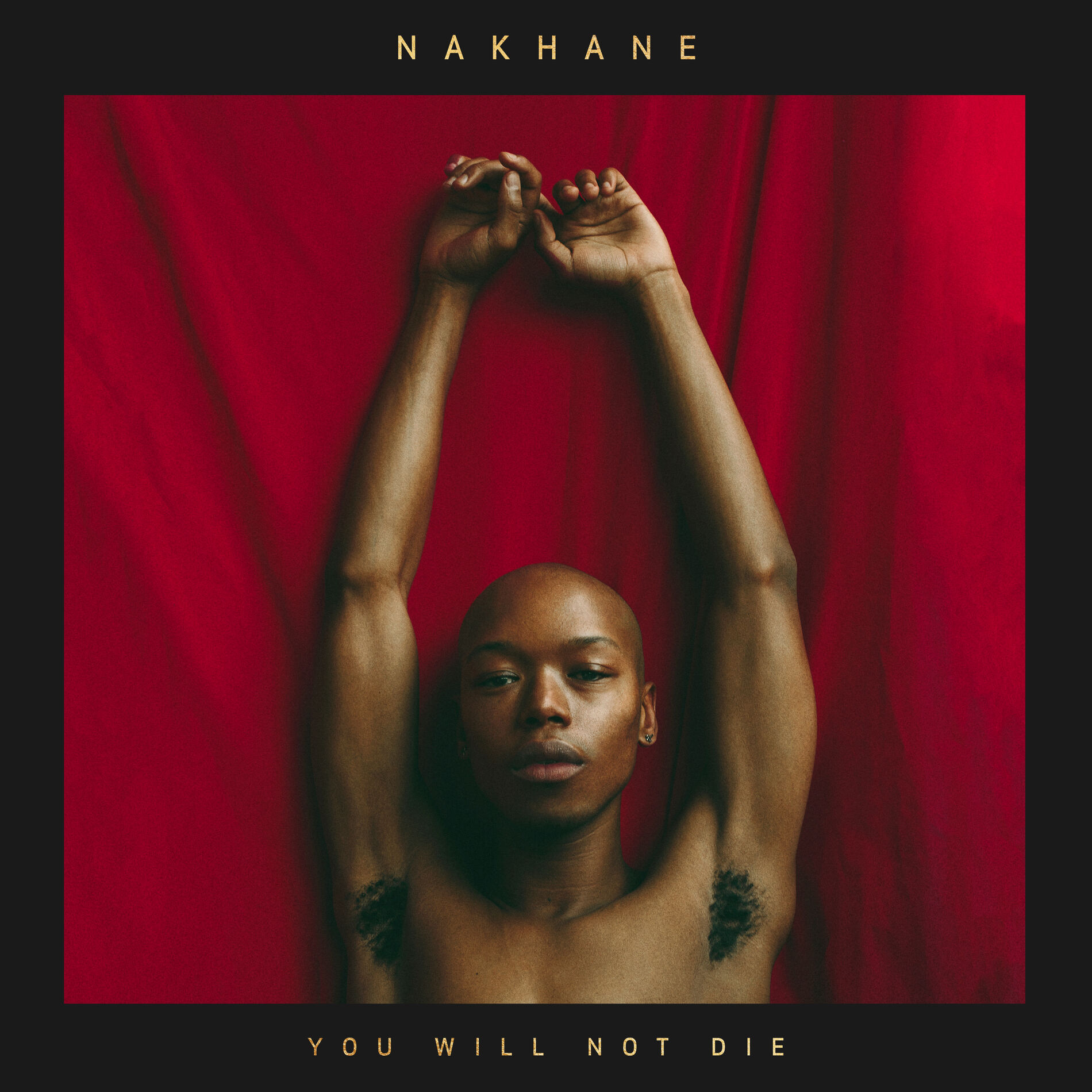 Album cover of You Will Not Die