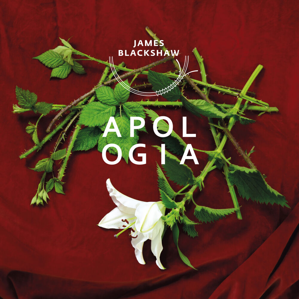 Picture of Apologia