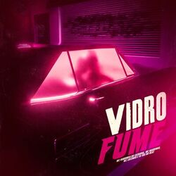 Cover of Vidro Fume