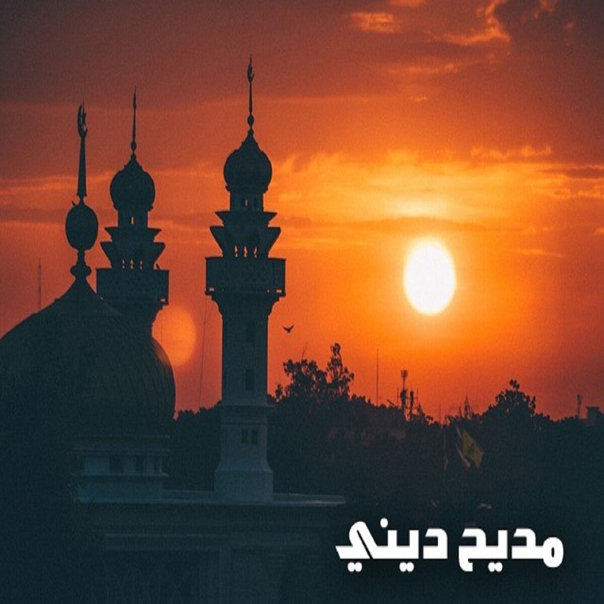 Album cover of مديح ديني