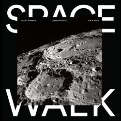 Cover of Space Walk