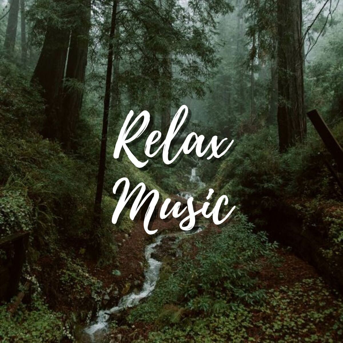 Album cover of Relaxing Music, Study Music
