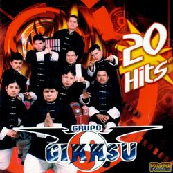 Cover of 20 Hits