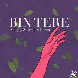 Cover of Bin Tere