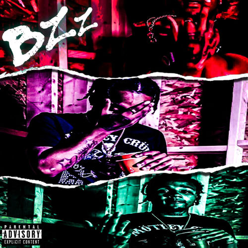 洋楽 Temporary Insanity - B*tchez Never Learn BZz - BZZ | Deezer