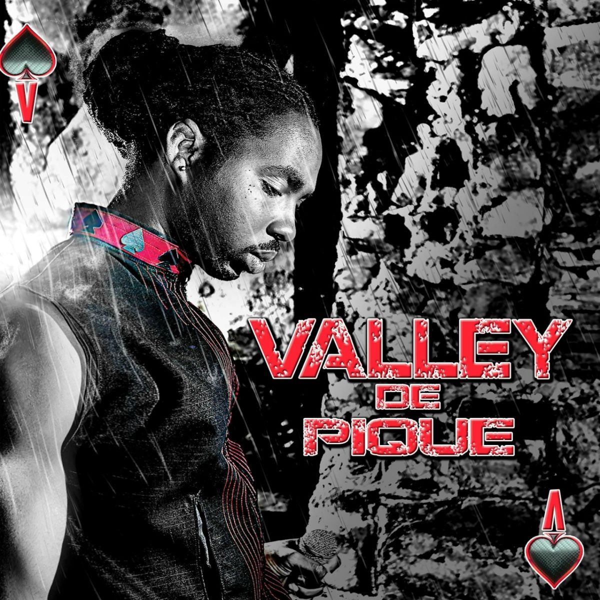 Album cover of Valley de pique