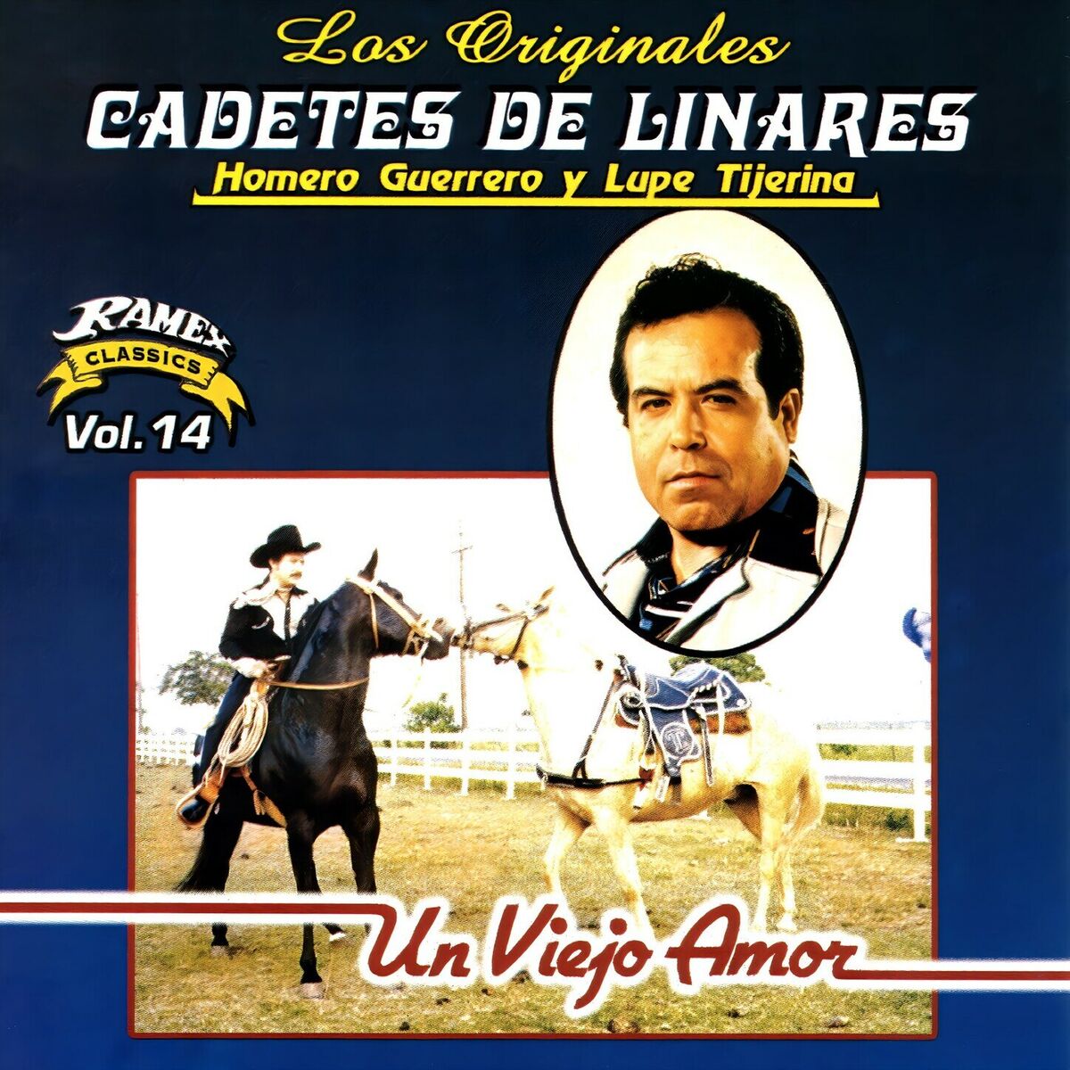 Album cover of Un Viejo Amor