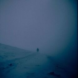 somber