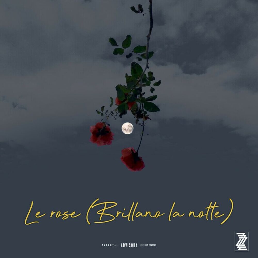 Picture of Le rose (Brillano la notte)